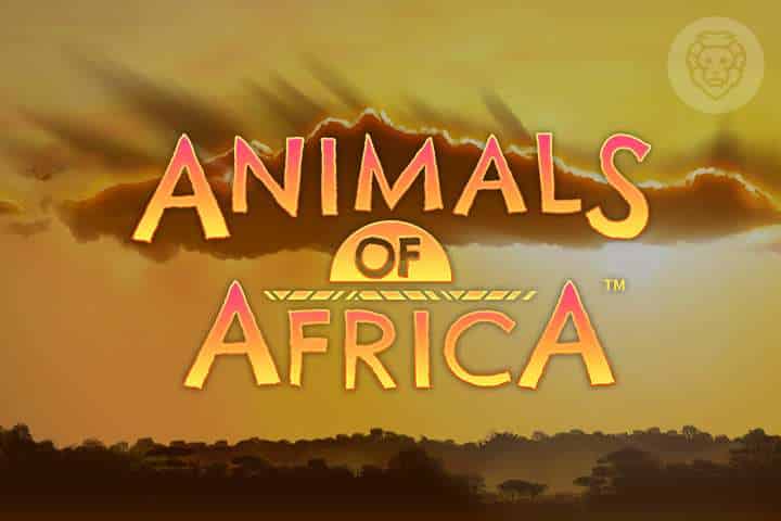 Animals of Africa video slot logo
